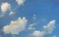 #109