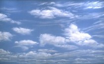 #119