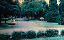 #339 Suburban street