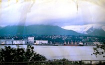 #341 Harbour