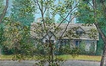 #507 Houses with trees