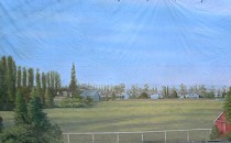 #509 Horse farm