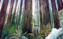 #512 Painted woodland